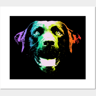 Rainbow Labrador Retriever Posters and Art